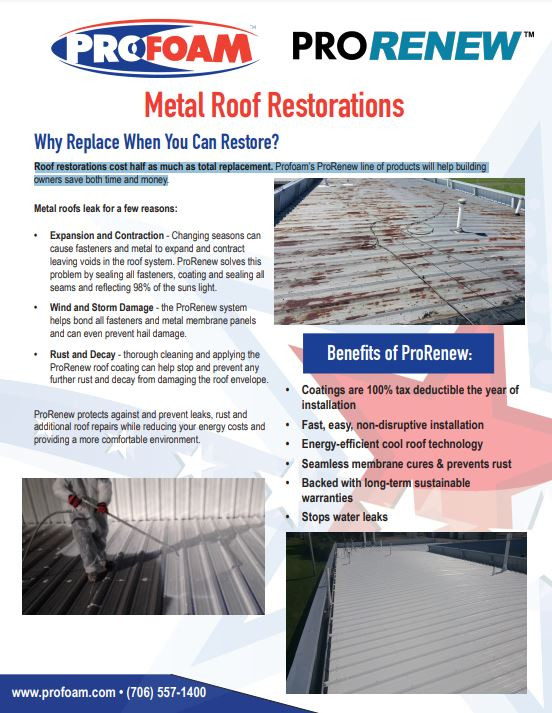Metal Roof Restorations Flyer