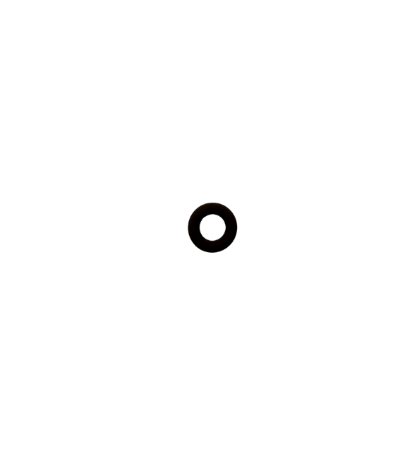 Profoam Pusmak SP2 Check Valve Bottom O-Ring