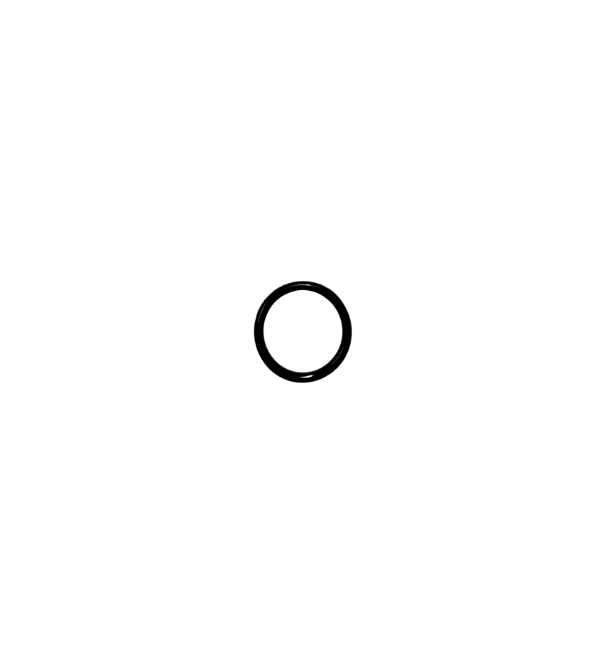 Profoam Pusmak SP2 Nozzle Cap O-Ring
